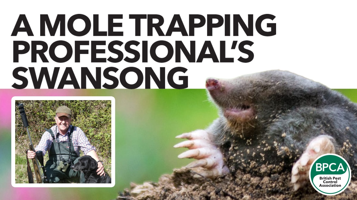 Mole trapping hero